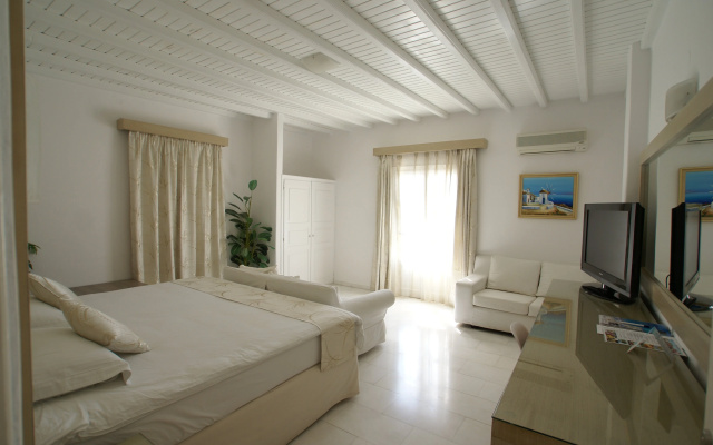 Dionysos Luxury Hotel Mykonos