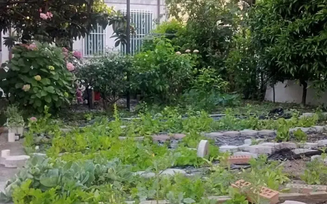 Eco Bed & Breakfast I Due Oleandri