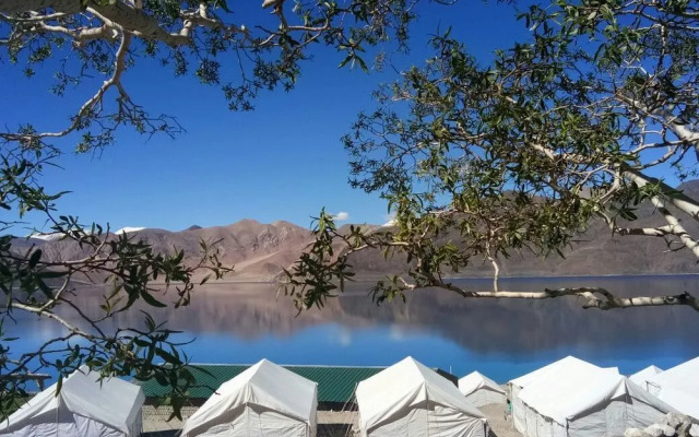 Pangong Heritage Camp