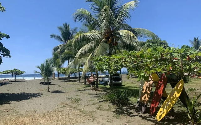 Miguel Surf  Camp