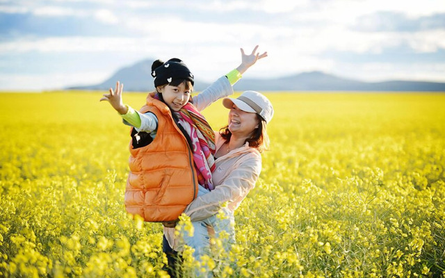 Wavecrest Village & Tourist Park