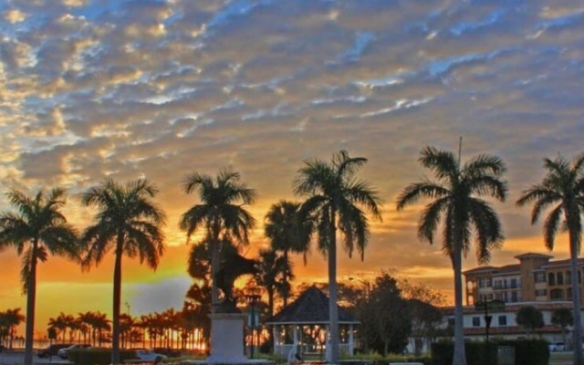 Secluded Beachfront Vibes Surf Pet Friendly