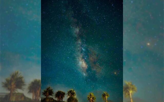 wisteria ocean Nakijin