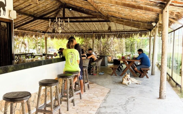 Paradise Suit Sal Premium