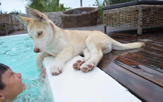 Room in Lodge - Charming Suit Room 5