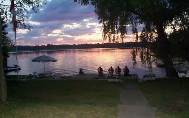 Windswept on the Trent