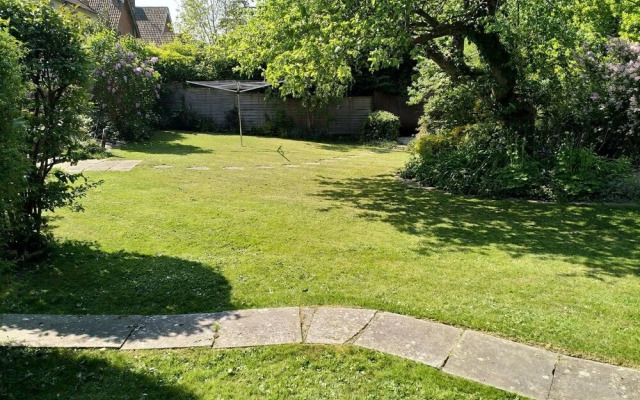 Tree of Life House, Number 27 Bere Lane