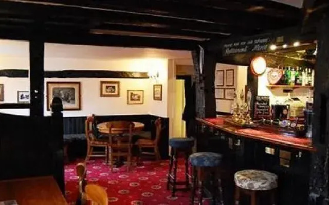 The Plume of Feathers