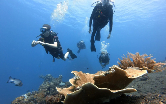 Sahera Dive Resort, Amed