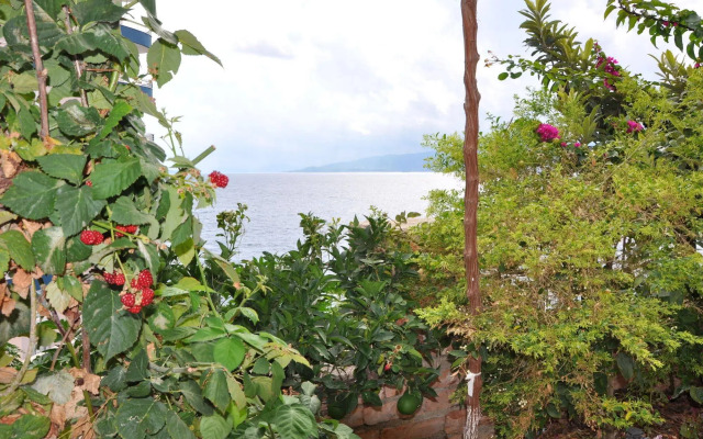 Hotel Vila Alvin & Apartments