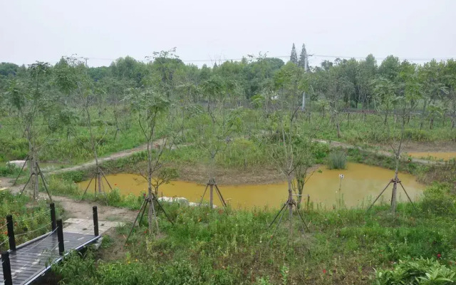 Da Zao Tou Farm Stay