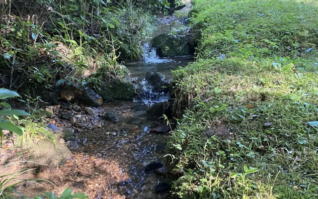 Serenity Creek