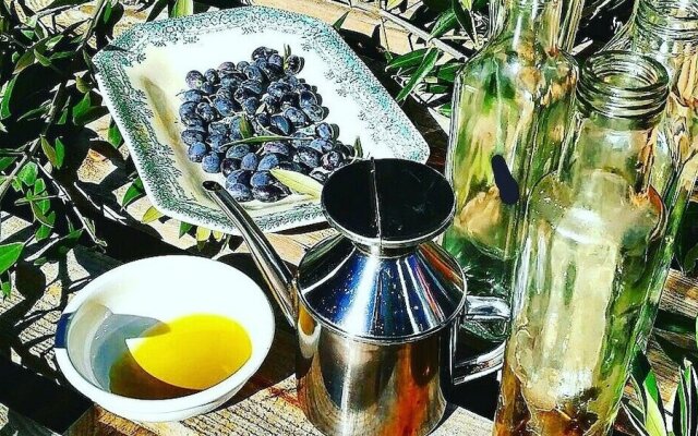 Casa do Fundo - Sustainable & Ecotourism