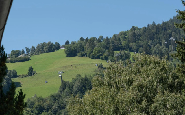 Chalet Love The Alps by All in One Apartments