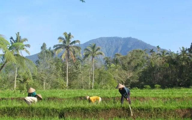 Prana Dewi Mountain Resort