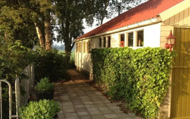 Tussen de berken