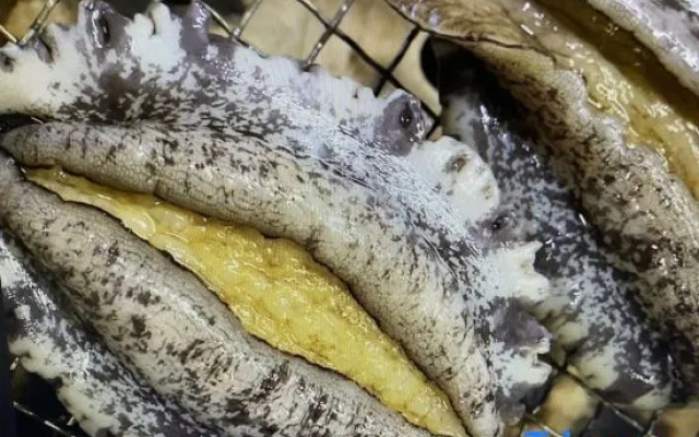 Yamacho
