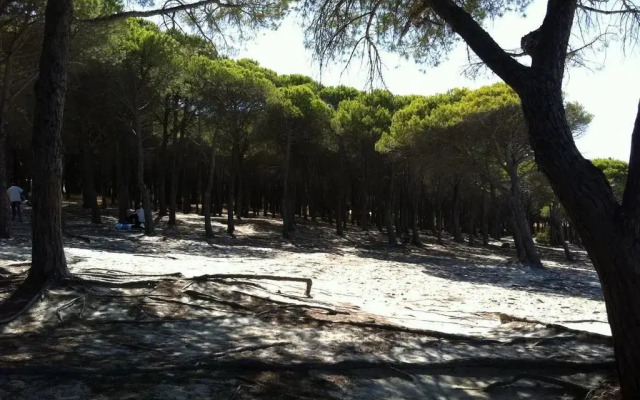 Case Vacanze Budoni Beach