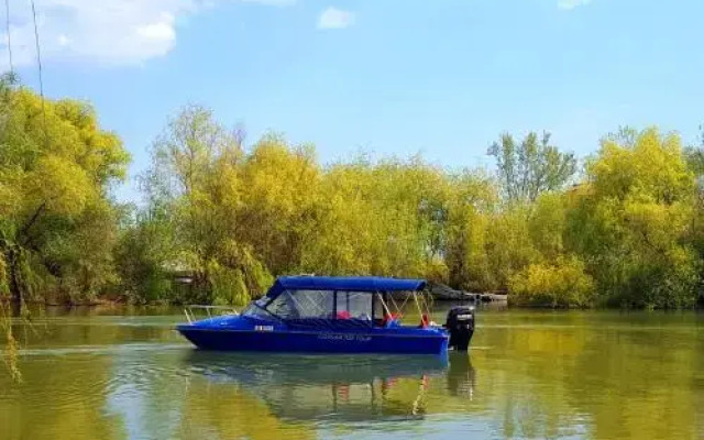 Pensiunea Blue House