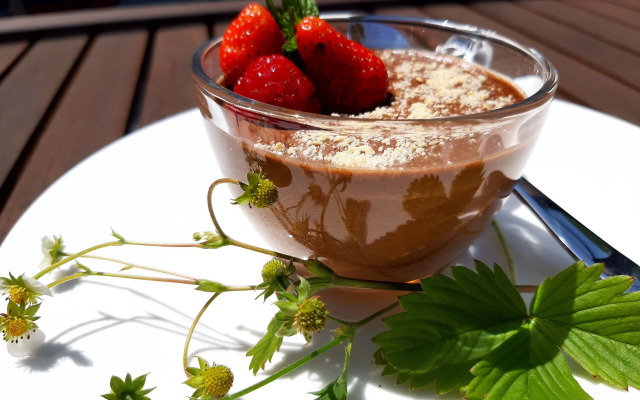 Tesla's Gastro House Plitvice