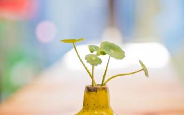 Xing Long No 37 Hostel