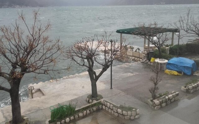 Pansion Pana Kotor