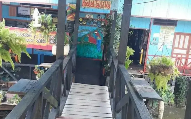 hostal tachiwa-hormiga