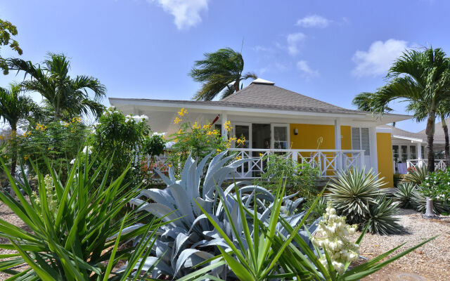 Chogogo Dive & Beach Resort Curacao