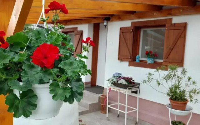 Small House Apartment
