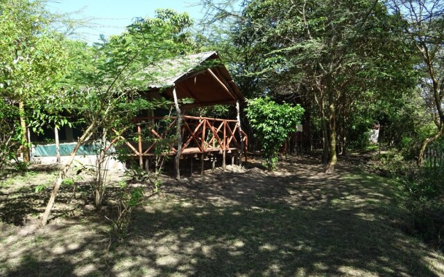 Crocodile Camp-Masai Mara