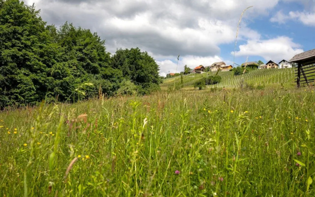 Apartment at the Vesel Homestead, Local Experience