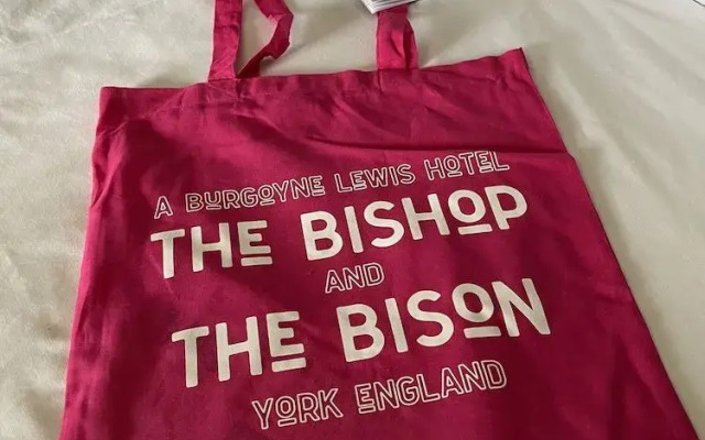 The Bishop And The Bison
