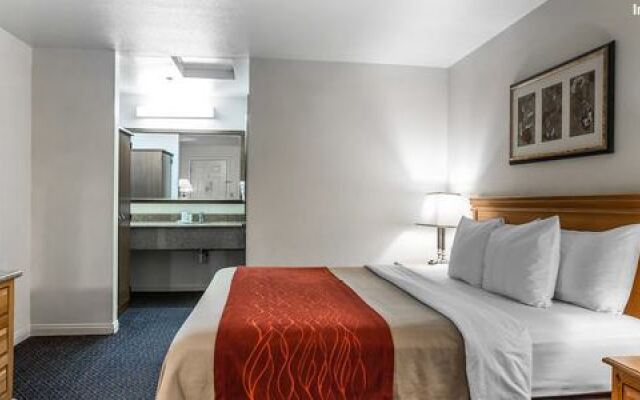 Comfort Inn At Sequoia Nationa