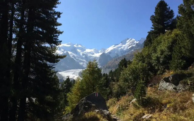 Hotel Bernina Pontresina