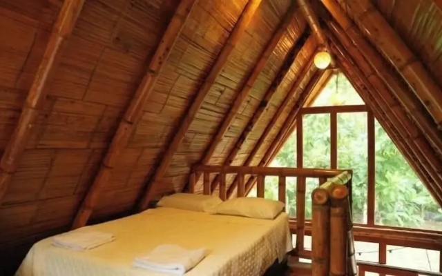 Tiny Houses Unique Tayrona
