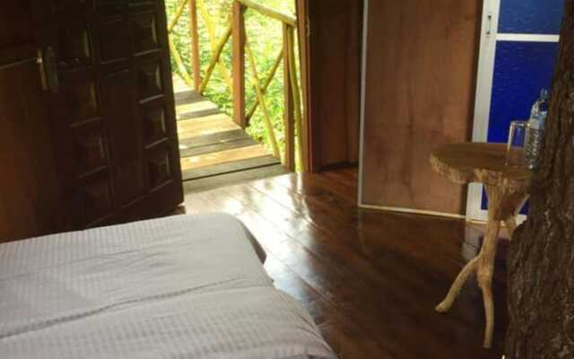 The Tree House