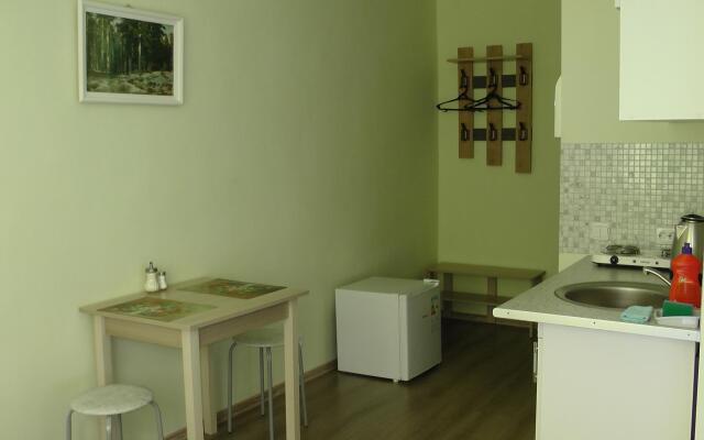 Studios near Moskovsky Prospekt