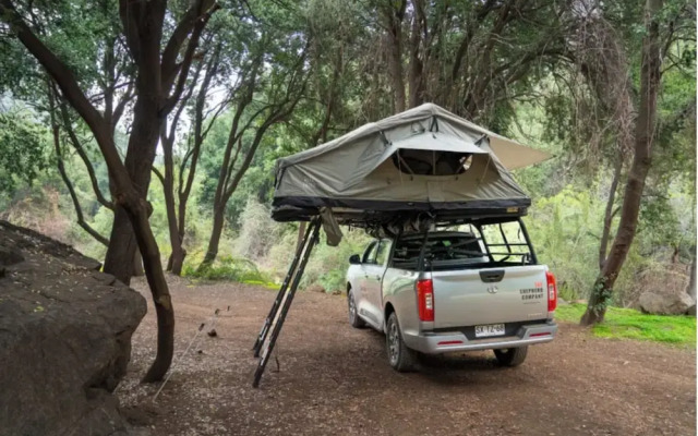 The Shepherd Company