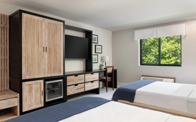 The Wave at Marblehead