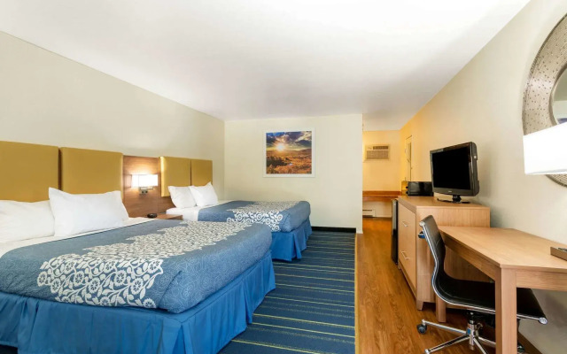 Boundary By Terra Vi Durango