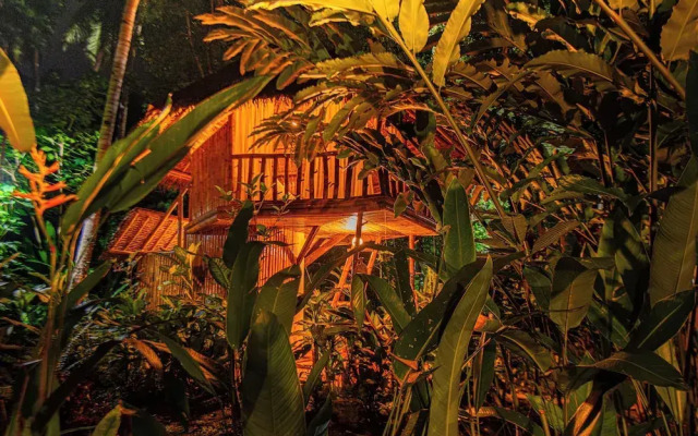 Water To Forest Ecolodge