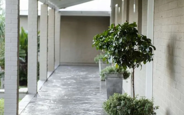 Palm Inn Guesthouse