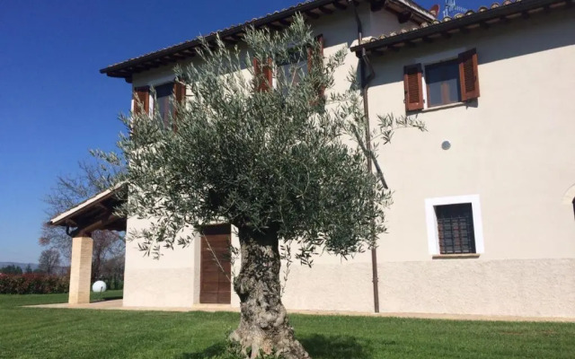 Podere Le Volte Degli Angeli