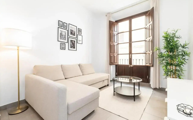 Modern Cozy flat in Granada's city centre 1