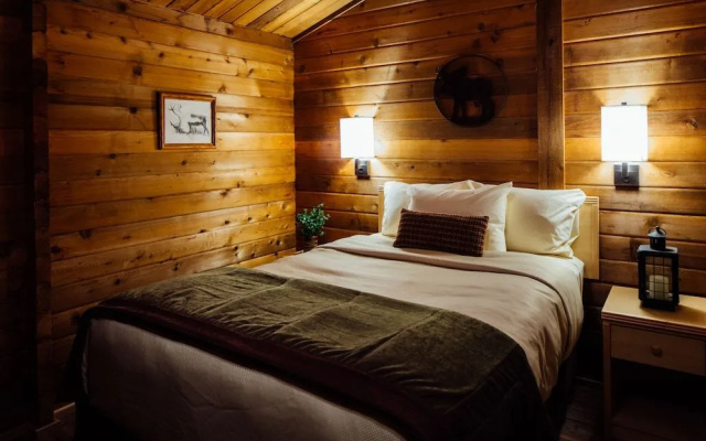 Denali Cabins