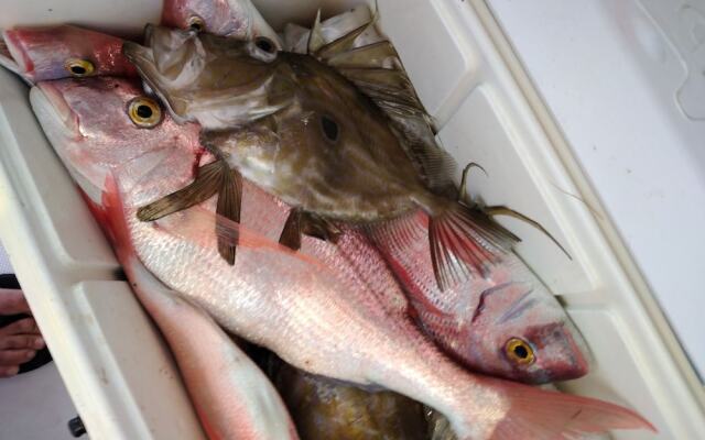 Seafront House Le Finestre Sul Mare With Balcony