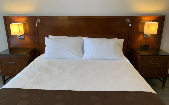 The Retro Hotel