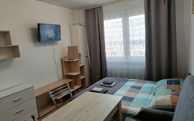 Apartments on Murinskaya road