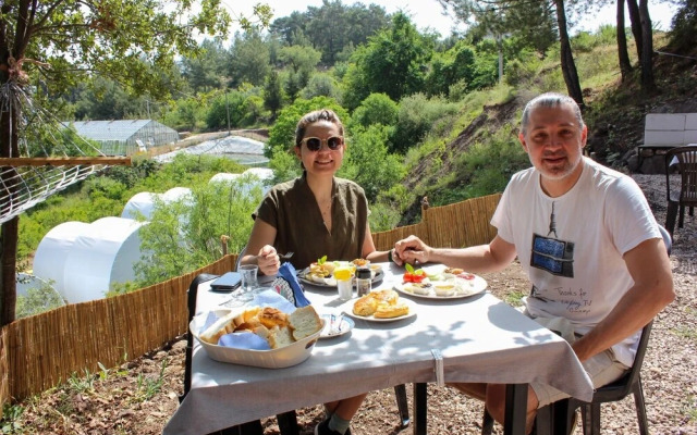 Evergreen Glamping