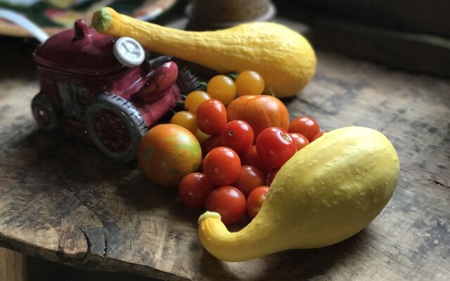 Good Place Farms B&B